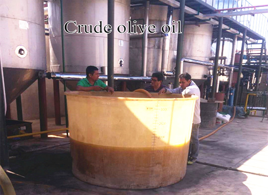 Peru 20tpd batch type olive oil refinery plant video