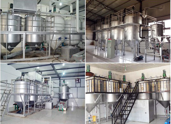 Different types of palm oil refinery plant