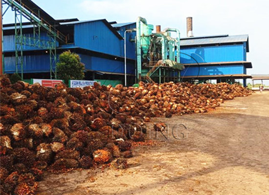 How much it will cost to set up a palm oil processing plant in Nigeria?