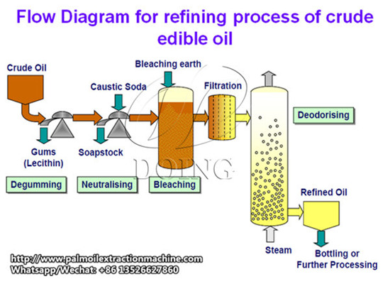 What are the refining process of palm oil?