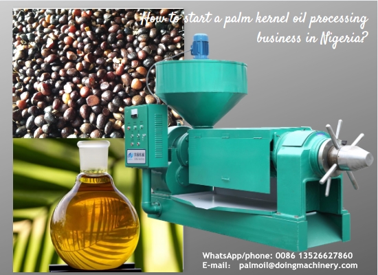 How to start a palm kernel oil refining business in Nigeria?