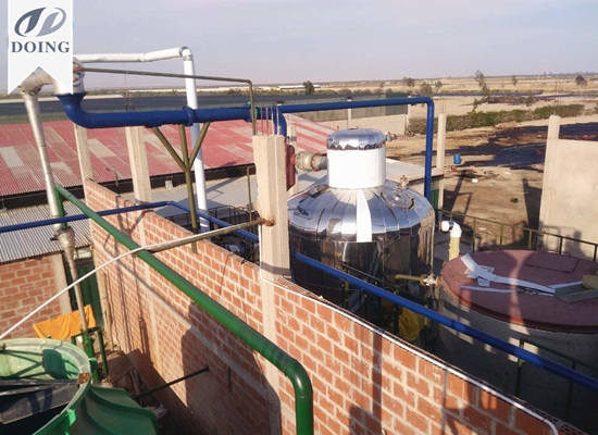 20tpd olive oil refinery plant in Peru