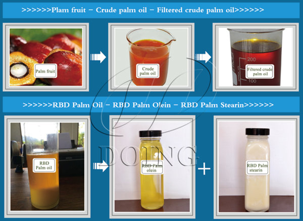 palm oil refinery products