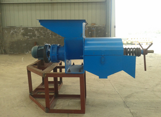 Palm oil extraction press machinery hot sale in Ken 