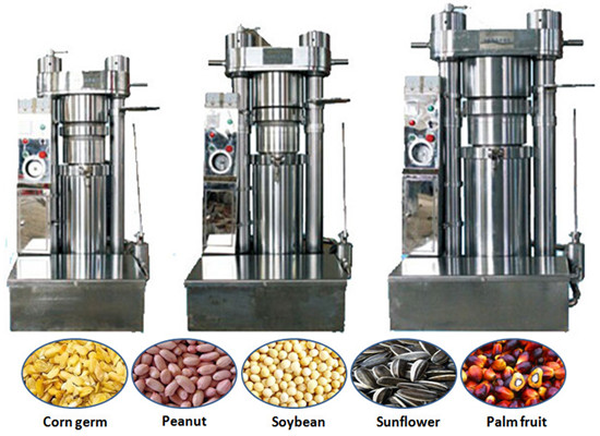 Hydraulic Oil Press-Suitable for Home Use