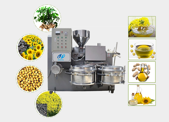 Rapeseed screw oil press machine