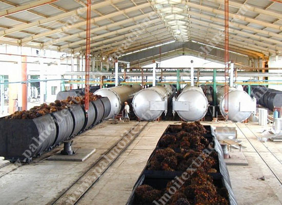 Crude palm oil production process