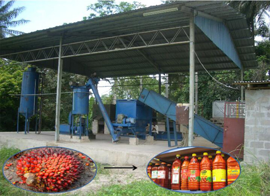 Traditional VS modern Africa palm kernel oil proces
