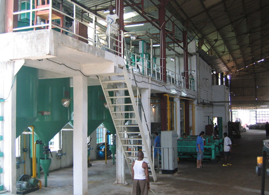Palm Kernel Oil Extraction Plant in Sierra Leone 