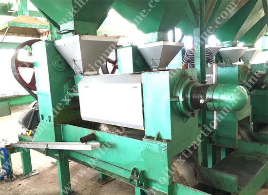 palm kernel oil expeller machine