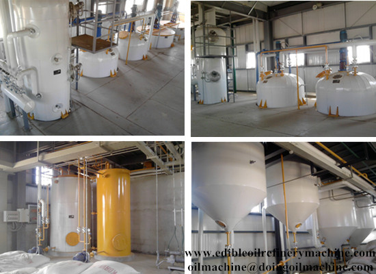 Palm kernel oil mill/palm kernel oil refining machi