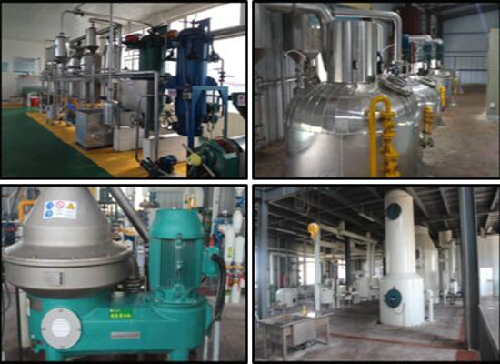 Small-medium-big sized palm kernel oil refinery pla
