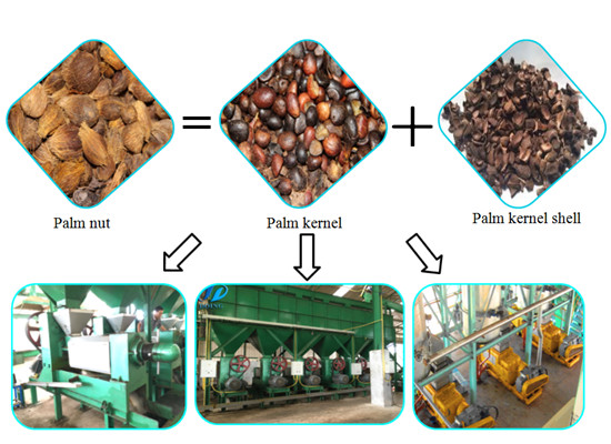 Palm Kernel Cake Manufacturer in Kochi, Kerala - Prima Industries Ltd