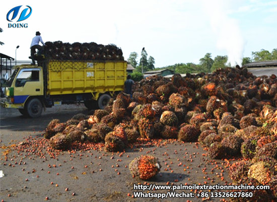 Palm oil industry overview