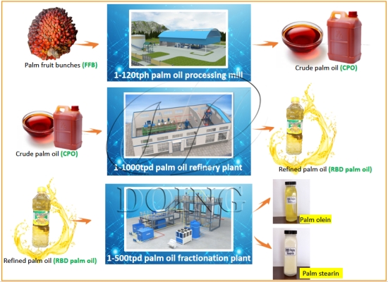 How to choose suitable palm oil processing machine for starting plam oil processing business in Africa?