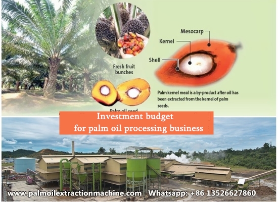 How many budget is needed to start a palm oil processing business in Nigeria?