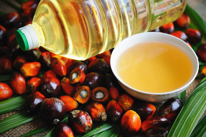 The photo of palm fruit oil.jpg