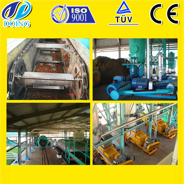palm oil production