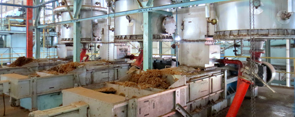 Palm oil mill