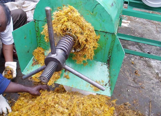 La máquina de extraer el aceite de palmera de pequ