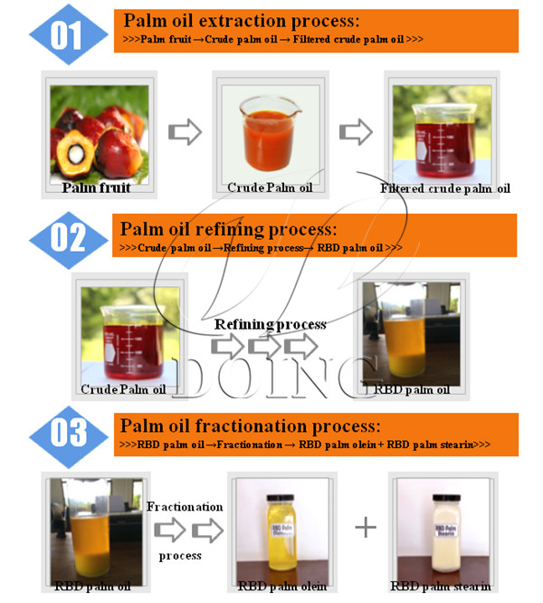 Processing of palm oil, palm kernel oil and fractionation process