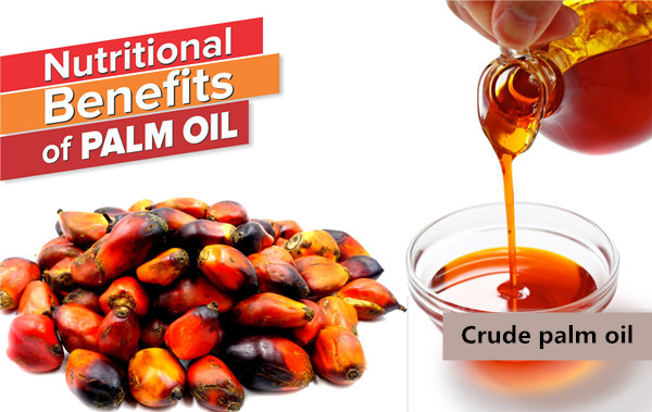 crude palm oil 