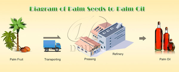 palm oil production line 