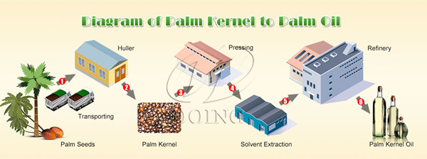 palm kernel oil production line 