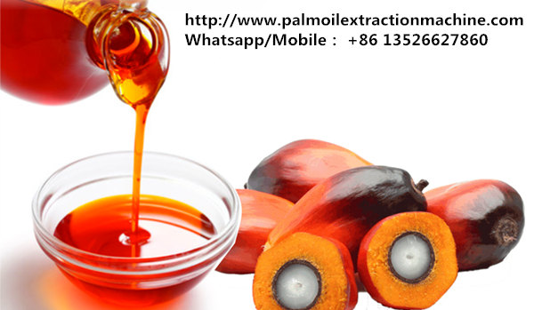 crude palm oil