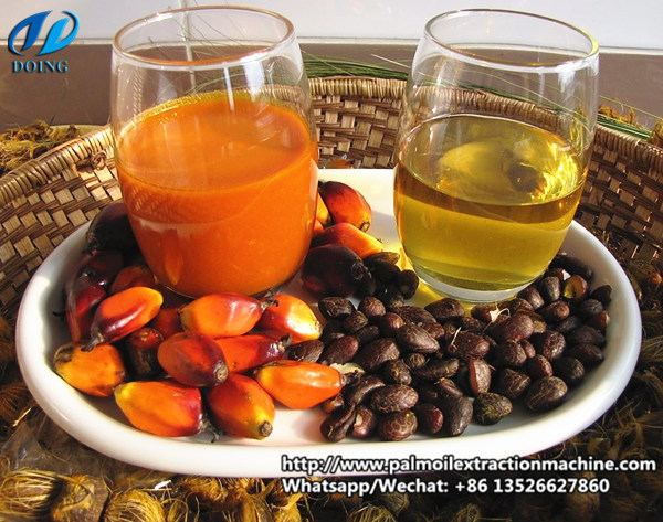 palm kernel oil 