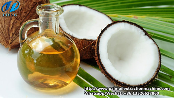 coconut oil 