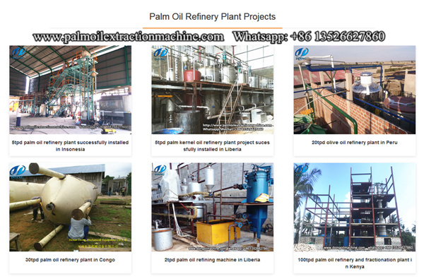 palm oil refinery plant 