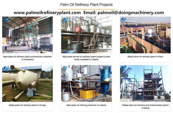 palm oil refining machine 