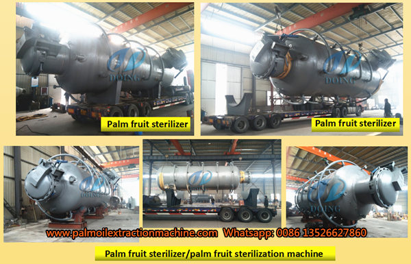 palm fruit sterilizing machine 