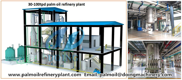 palm oil refinery plant 