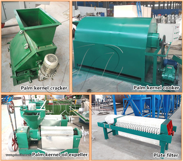 palm kernel oil processing machine