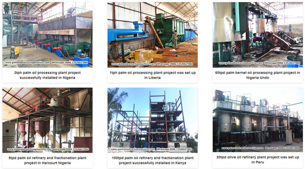 palm oil extraction machine 