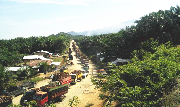 palm oil making machine 