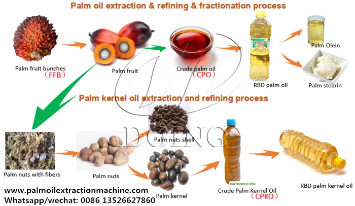 palm oil processing machine 