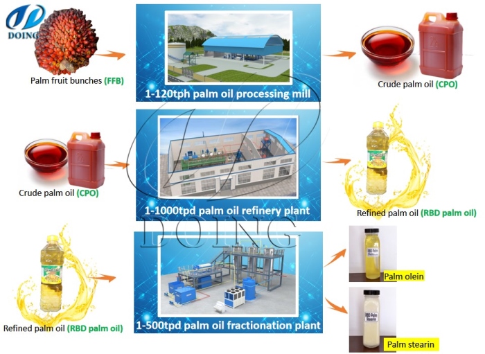 What machines are needed to extract palm kernel oil into vegetable  oil?_Cooking oil machine FAQ