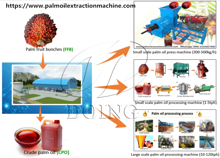 palm oil processing machine 