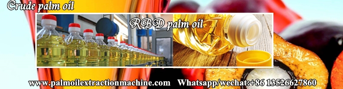 crude palm oil and rbd palm oil