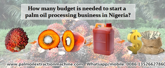 palm oil processing business cost