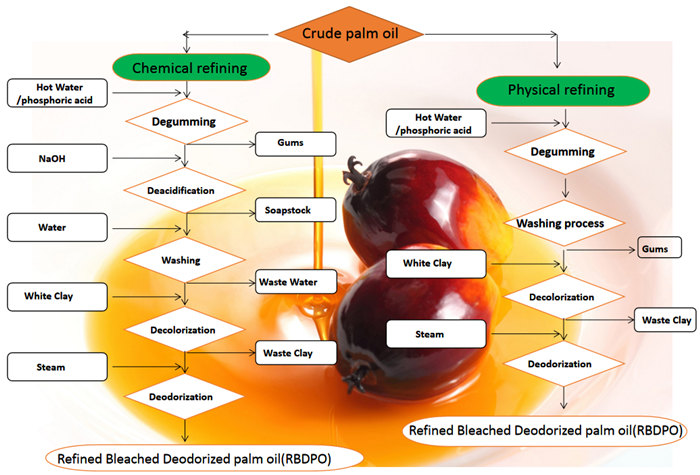 palm oil physical refining and chemical refining process